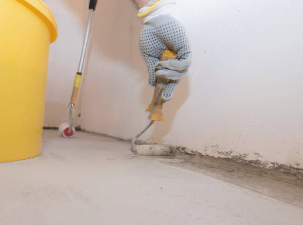 Best Fumigation Services  in Red Lodge, MT